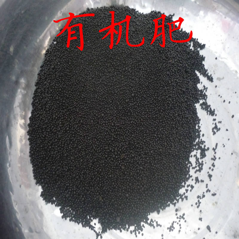 6236e8b535154b1aace892ed5e221ac8.jpeg