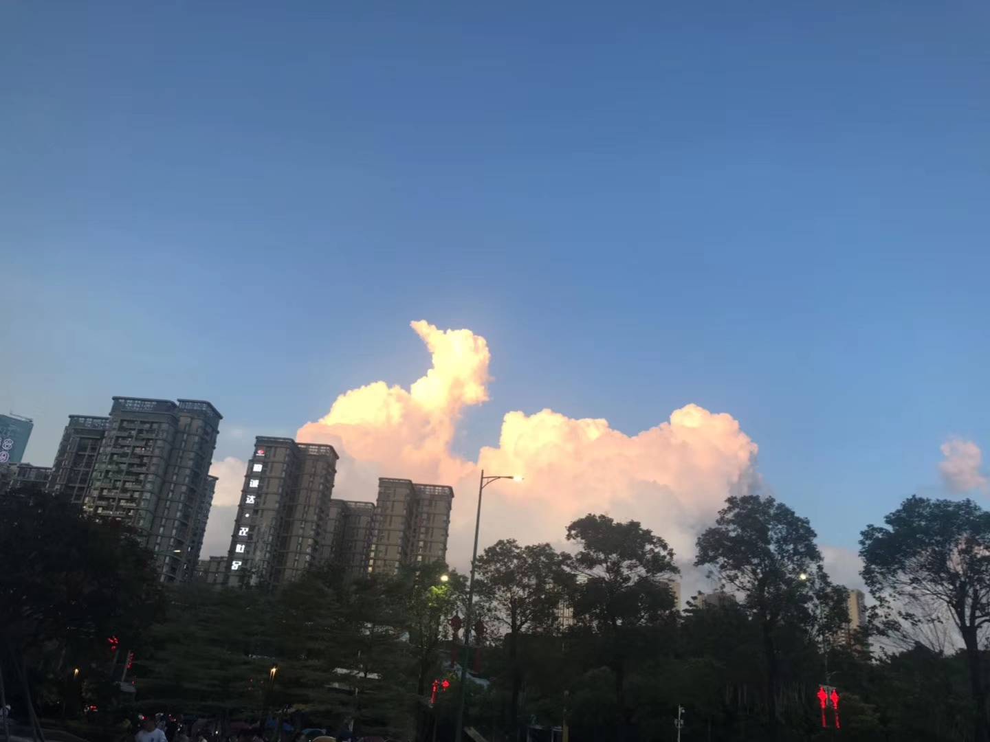 销售|招商蛇口的三大“痛点”|房企中报观察⑦