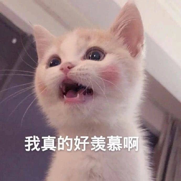 ac0d7f92a6844c3cb8eb7aeb4986f0ba.jpeg