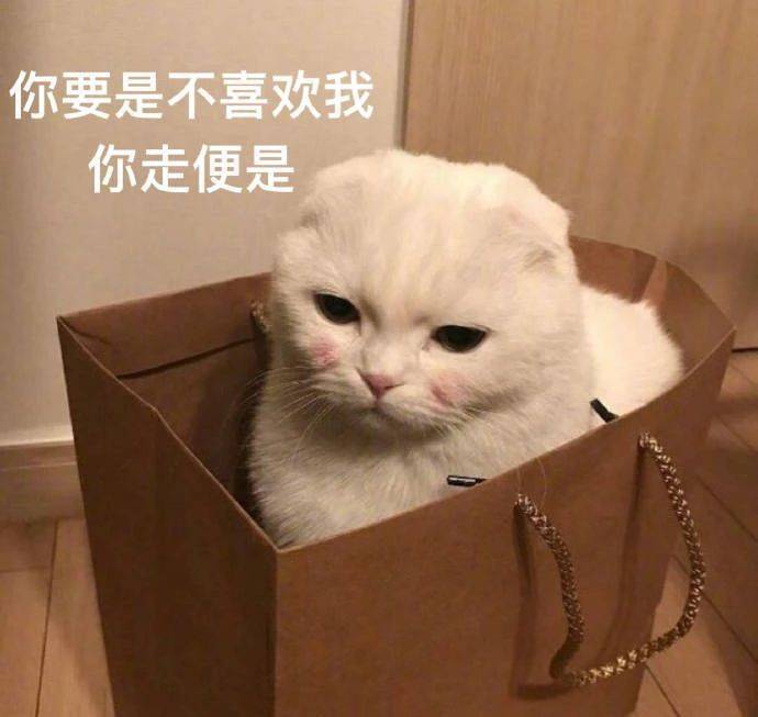 可爱表情包图片:蠢蠢纯纯,萌萌的猫猫狗狗