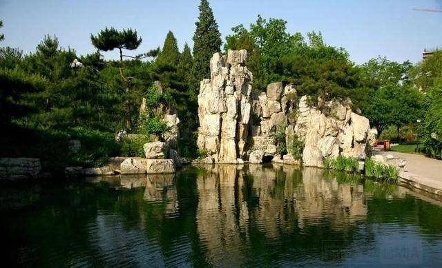 什么样的松树适合庭院 bdd1ce9b429746ff9bcaca2fd73c6e82.jpeg