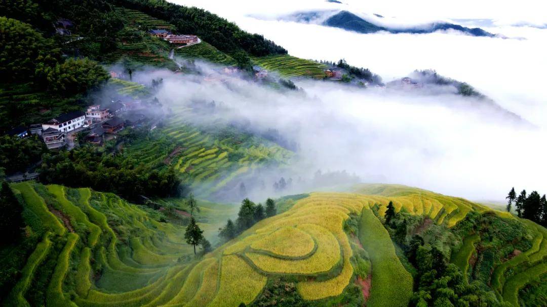 紫鹊界|湖南省首届乡村文旅网红大赛总决赛即将在紫鹊界火爆开启