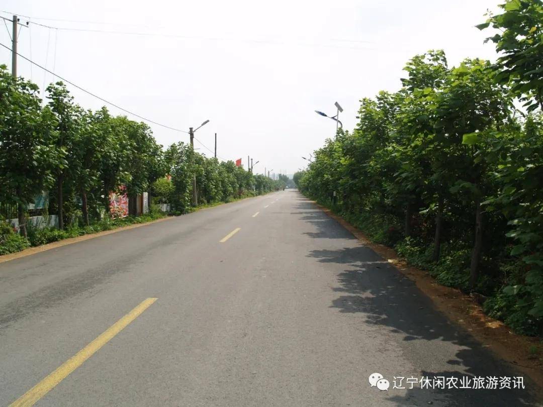 2020年省级重点村|浑南区李相街道王士兰村