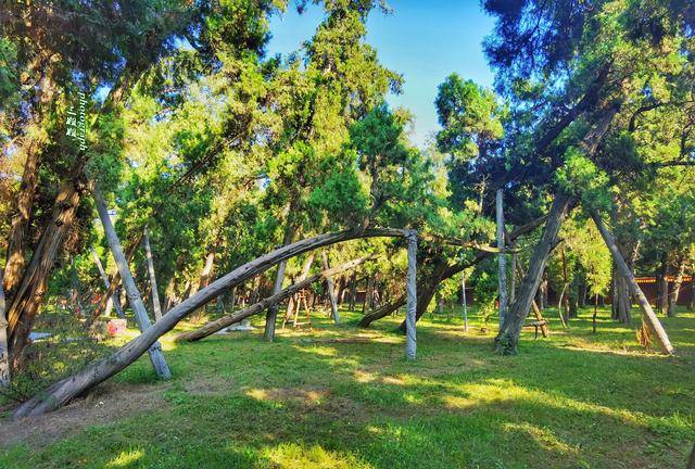 喝汤|洛阳人爱喝汤 千古传颂的爱情故事也难抵过一碗羊肉汤