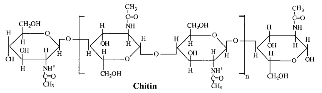 甲壳素是什么？它的降解原理是什么？_手机搜狐网