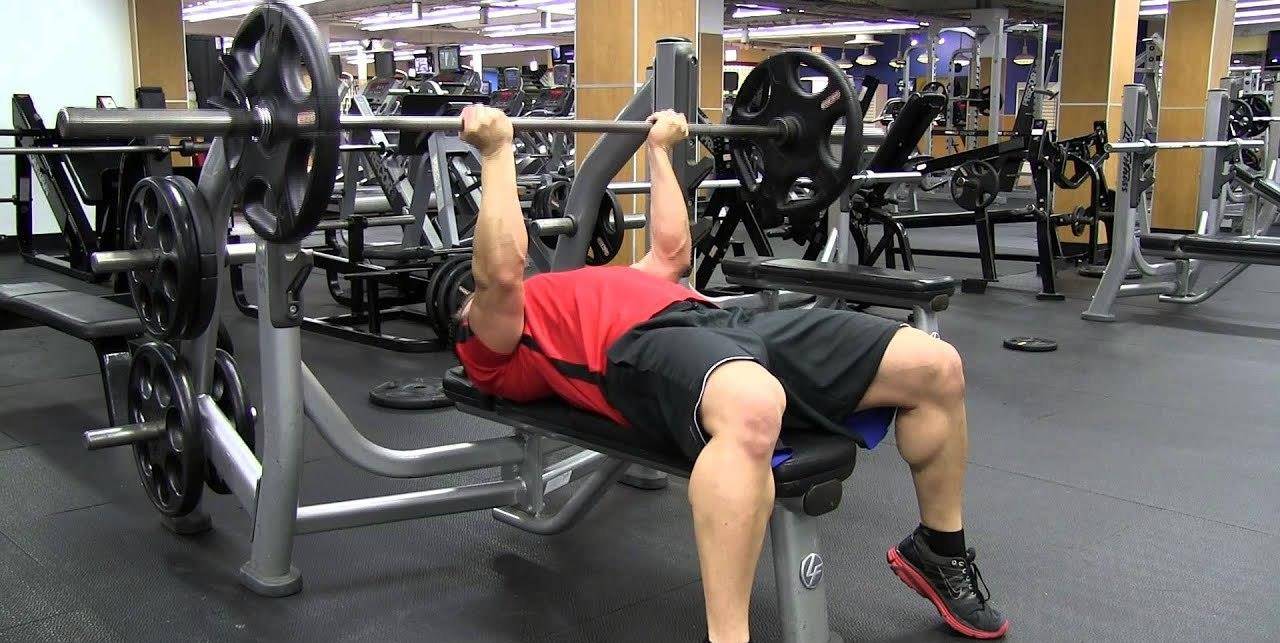 如何拉伸肱三肌肉 156a407b3c76485f843de12595636303.jpeg