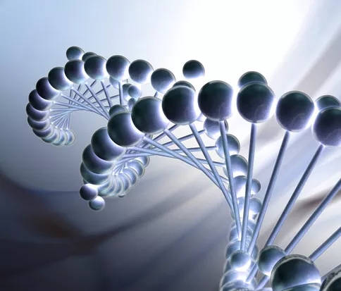 凝血因子怎么吃效果好