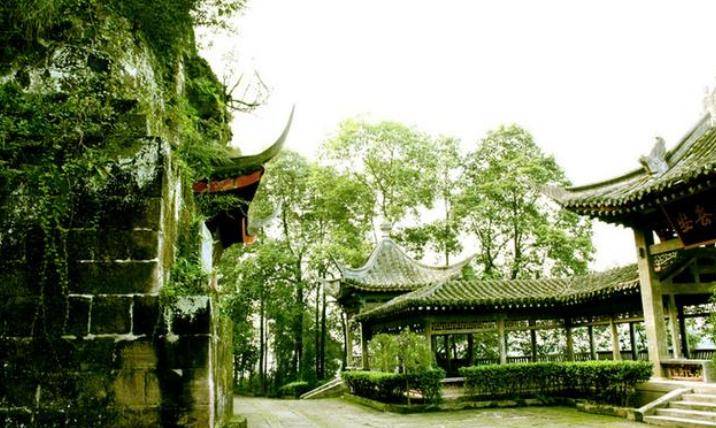 安岳市gdp_安岳市政规划图(2)