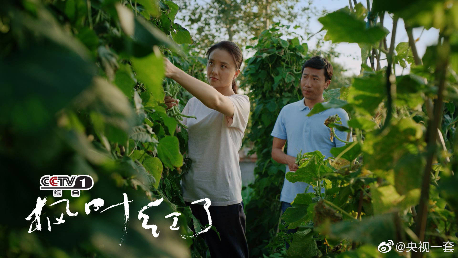 蒙古族|军人出身长相洋气的孙茜,演蒙古族农村妇女怎么看还是缺少精气神