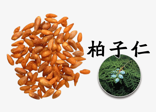 柏子仁的主要作用及中医食疗方法