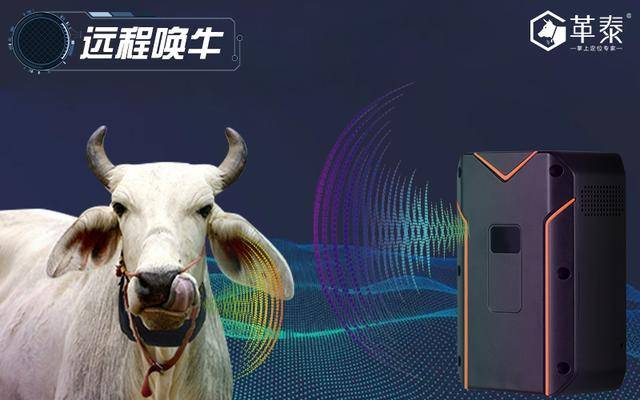 牛羊|革泰精卫牛羊马GPS追踪器隆重上市！