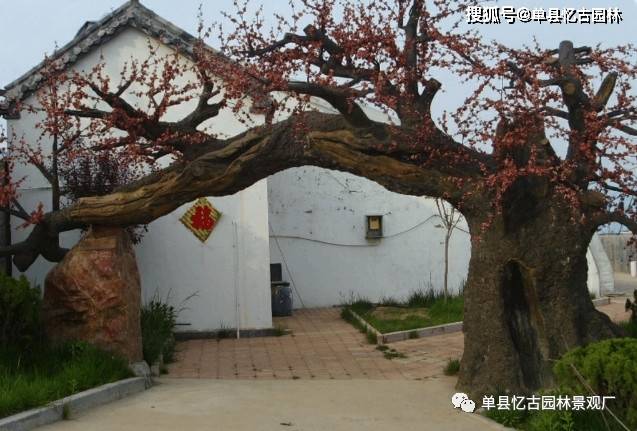 挑选假树大门景观门头-应该注意的几点问题