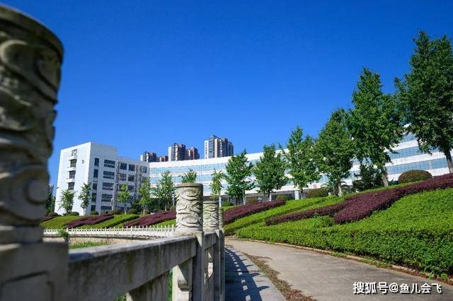 湖北2020高校录取线_湖北省2020年成人高考录取分数线成考分数线