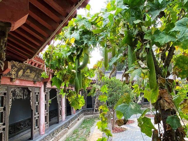 召公|“大象无形”、“甘棠遗爱”、”廉风垂范”、召公遗风 ——甘棠苑