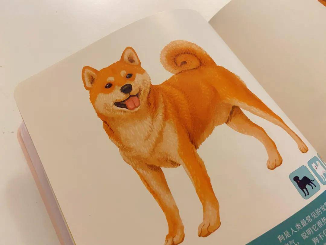 绘本|0~4岁绘本怎么挑？这套书给满分