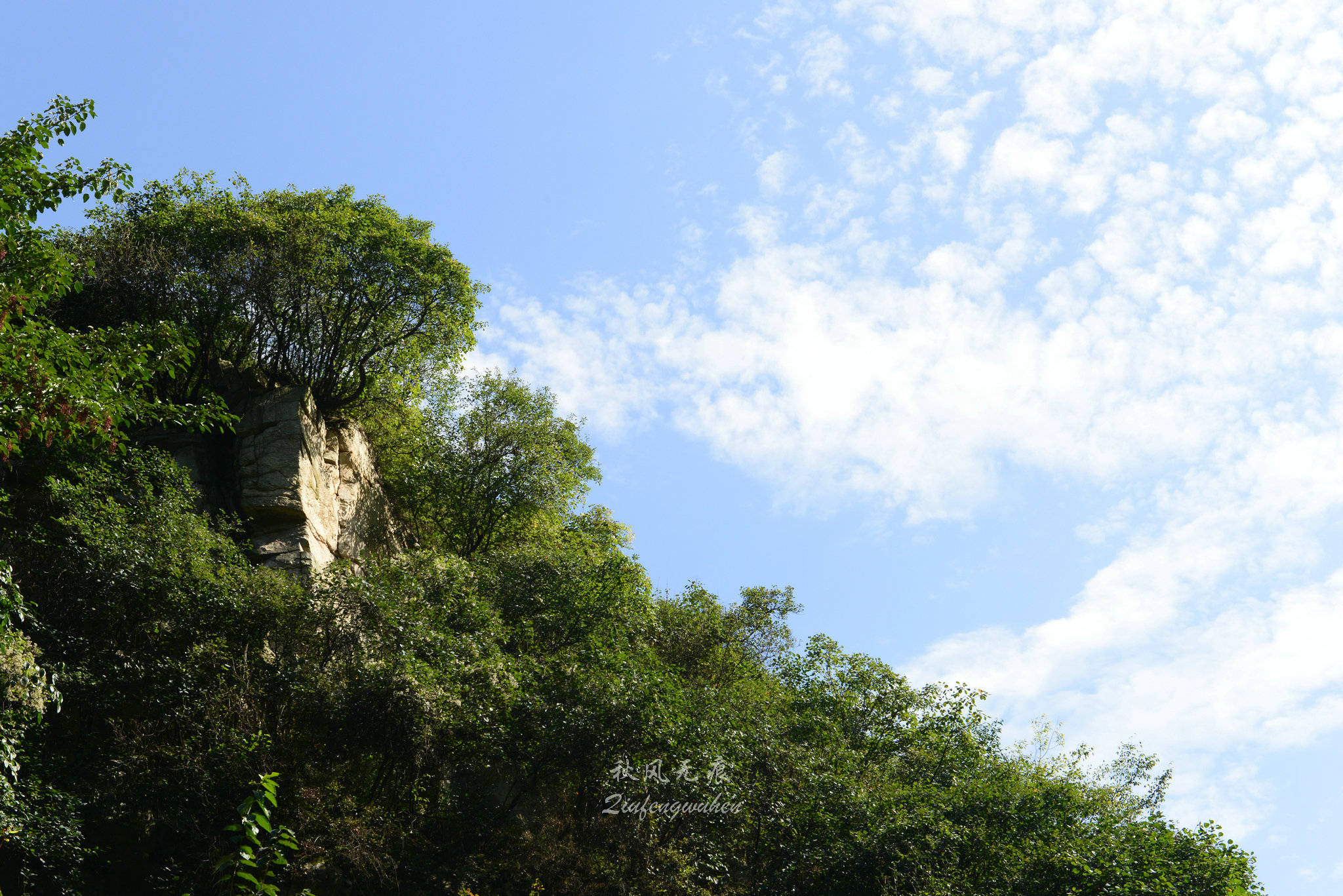 秦岭(|杜陵看山，秦岭望长安，抱龙峪里观云听秋风