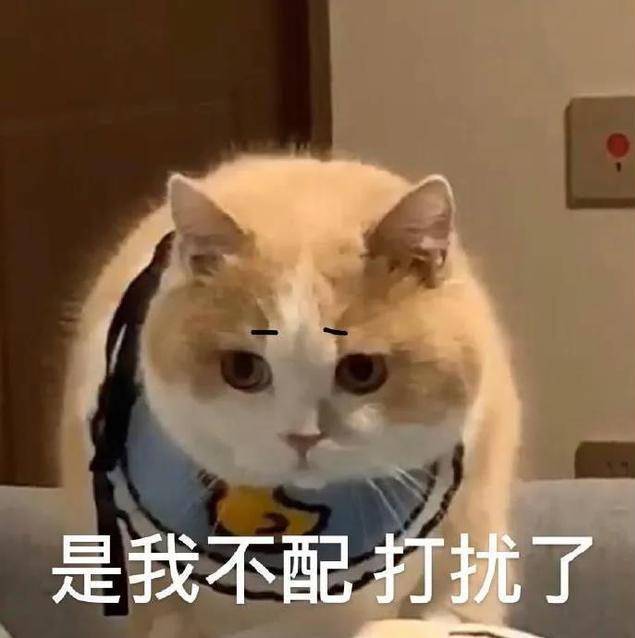 皮相|为什么日本女星妆感总是看起来很自然，美得不刻意？
