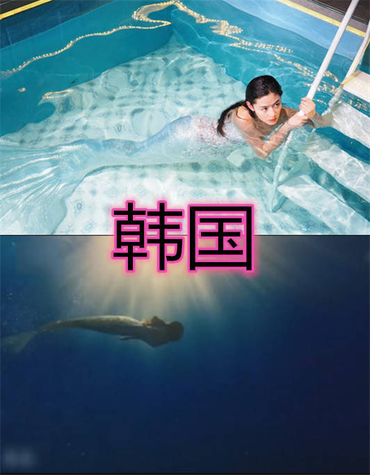 真实美人鱼视频全集 a3117f5b14e841d6a27af2e7f1c3d9c4.jpeg