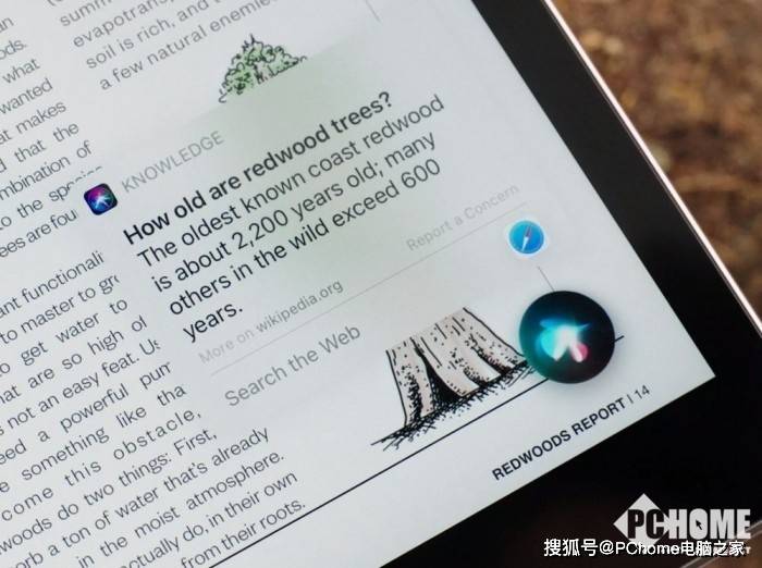 iPad|iPad第八代发布：外观不变硬件升级 价格良心