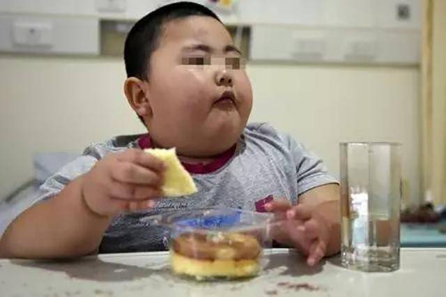 孩子|安吉“发福”明显,网友:基因的力量果然强大胡可晒合照