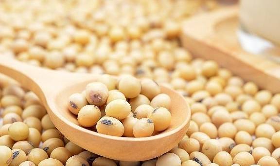 孩子|试试这4道家常菜，有助于孩子长个子，有望长到1米8