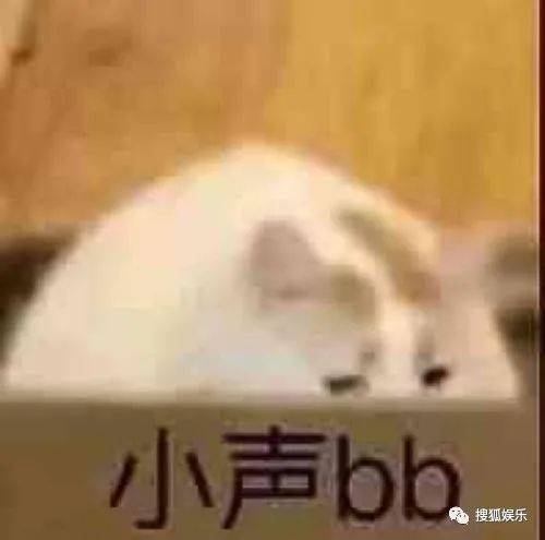娱乐日报|胡一天恋情曝光?谢娜小腹微凸?德云社抢票堪比春运?