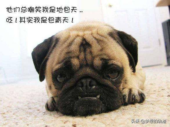 知识快到脑子里 33c223b093694719bbaf0ce5b6ca2503.jpeg