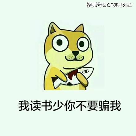 848401f88d0940c18506b8d085e0506d.jpeg