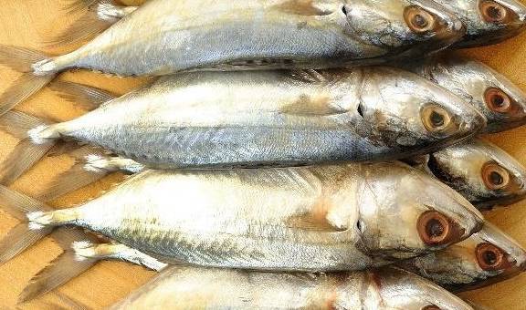 身体|为了家人健康，最好早了解这3种鱼最好别买