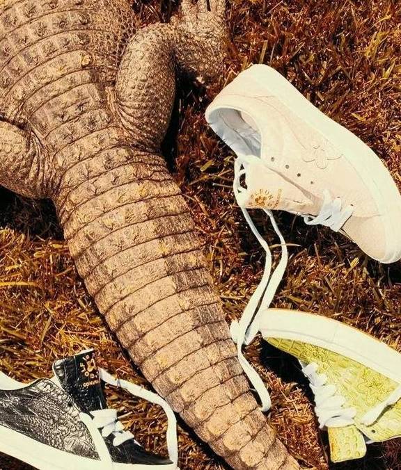 合作|备受Converse &amp; Vans独宠？Tyler个人联乘鞋款竟多达…