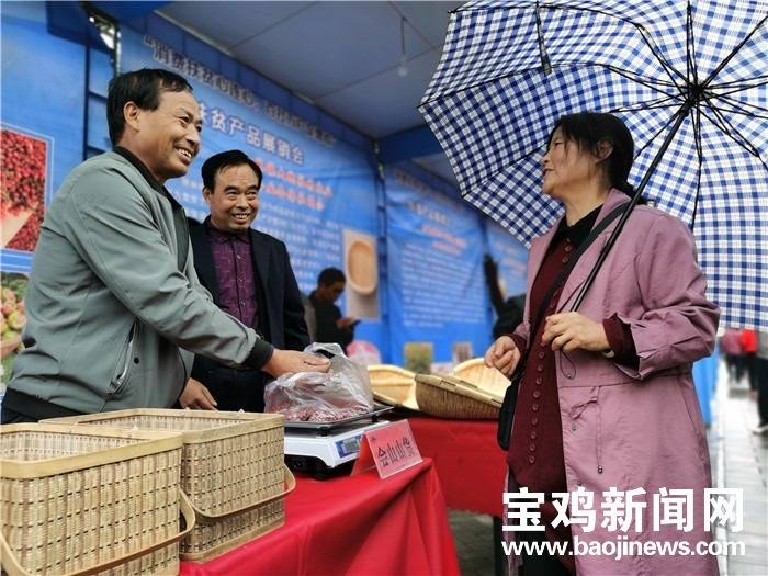 凤翔县经济总量排名全宝鸡_陕西宝鸡凤翔县图片