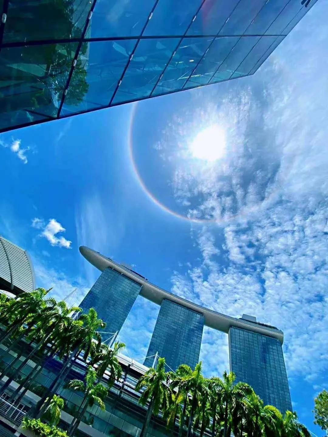 异象|突发!新加坡天降异象,绝美日晕刷屏了~(多图+视频)