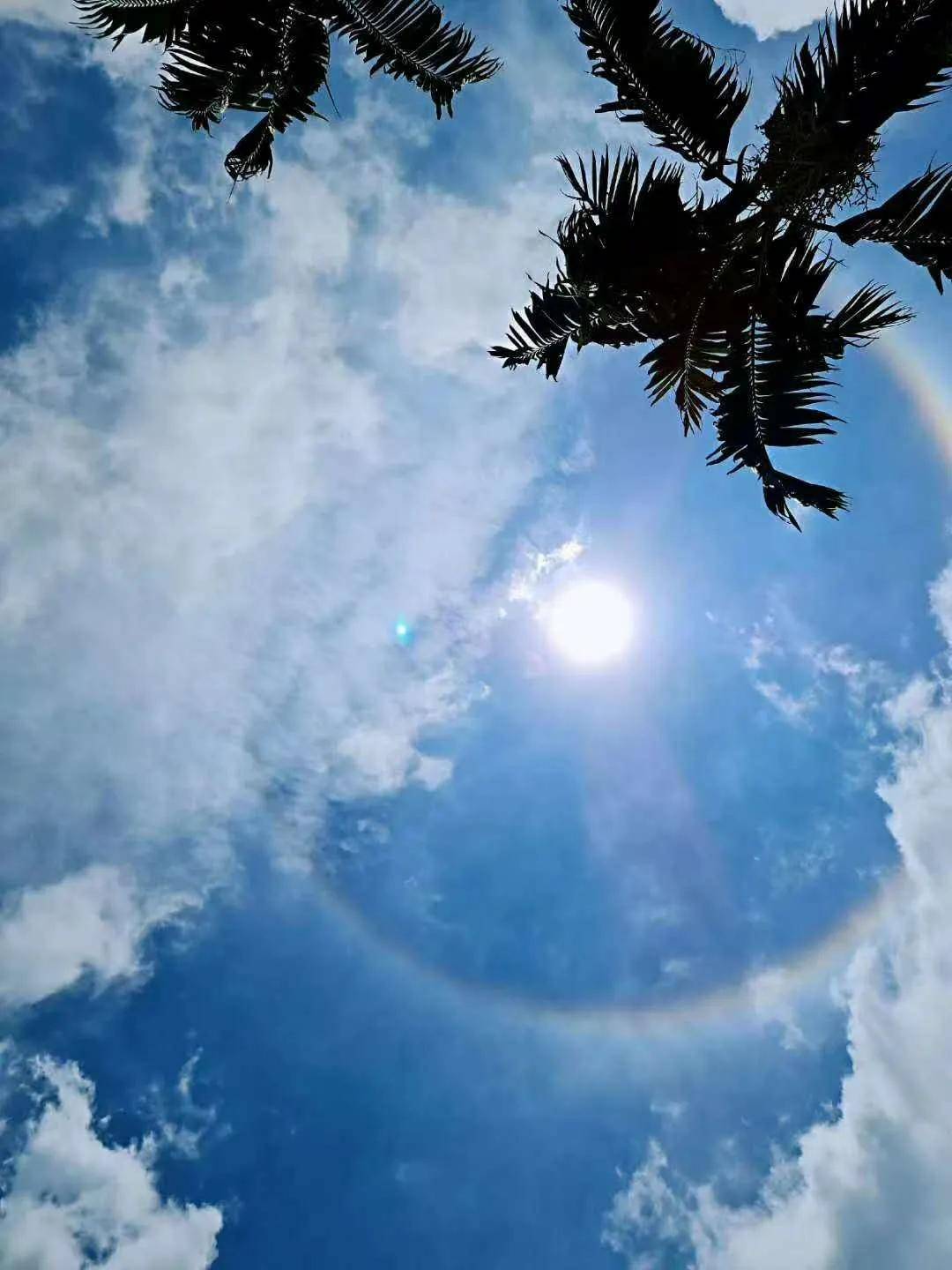 异象|突发!新加坡天降异象,绝美日晕刷屏了~(多图+视频)