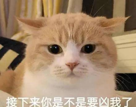 3bb5fa7fc2d444419b18f4d552a63f36.jpeg
