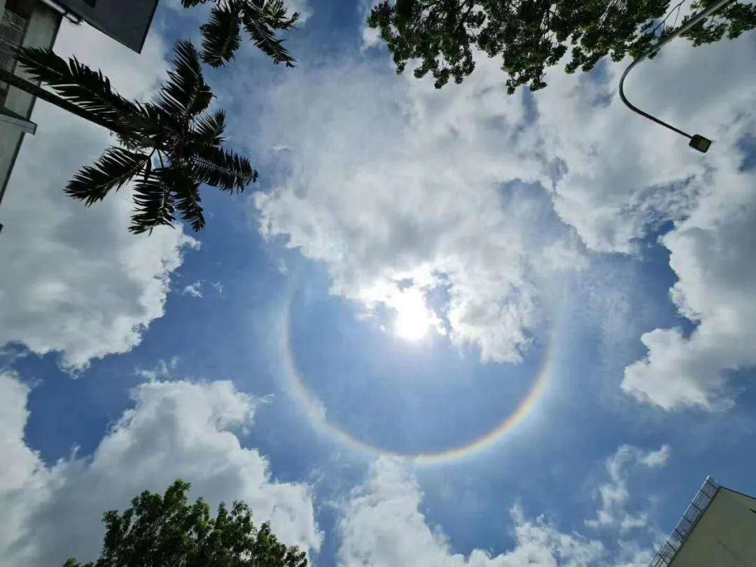异象|突发!新加坡天降异象,绝美日晕刷屏了~(多图+视频)