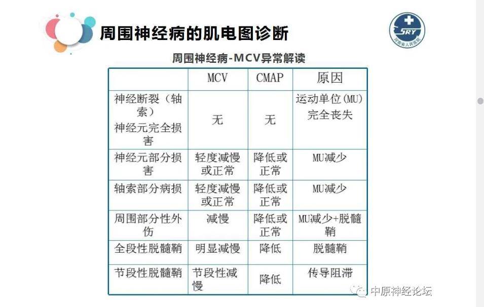 肌电图周围神经病与肌电图诊断