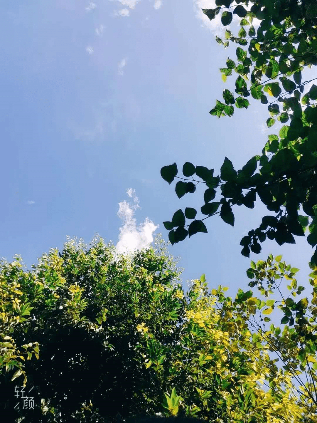 巴中雨后放晴的天空,美的不像话!