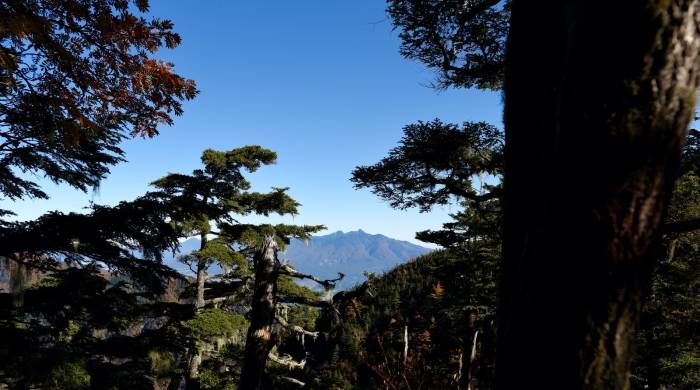 家用空调市场狼来了?家用中央空调加速抢食吃!-家电圈官网