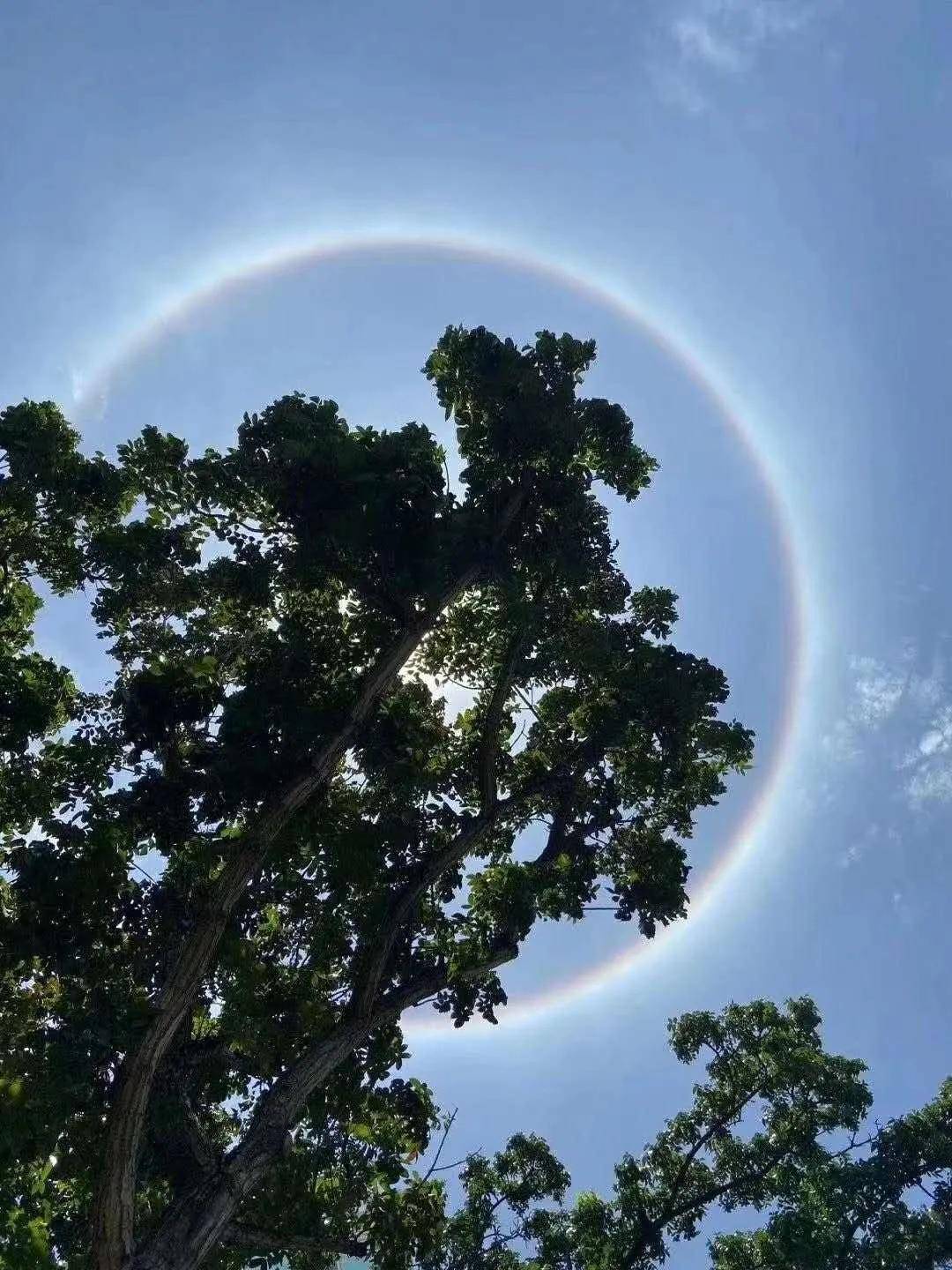 异象|突发!新加坡天降异象,绝美日晕刷屏了~(多图+视频)