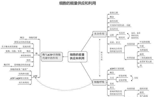 高中生物必修细胞模块的思维导图助你复习考试无忧