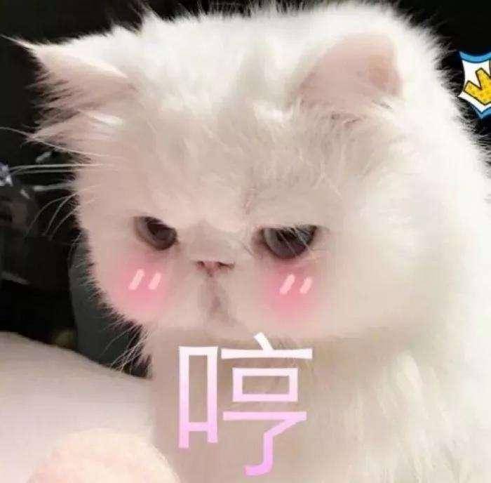 许玮|高圆圆动了这里年轻十岁，一直被当成天然脸的许玮甯做得最成功