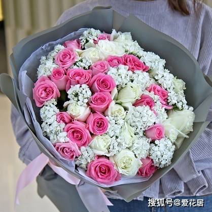 适合送孕妇的鲜花——送花给孕妇送这几种花最有利
