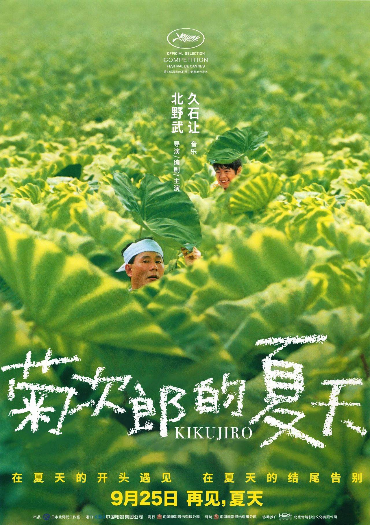 夏季观影指南心得体会