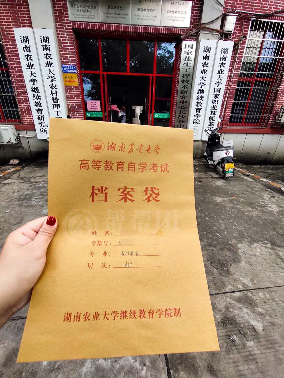 没档案怎么办