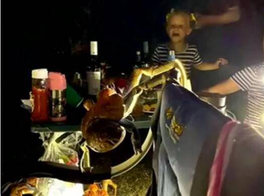 大螃蟹|可惜不敢吃直流口水！家庭烧烤时爬来50多只大螃蟹