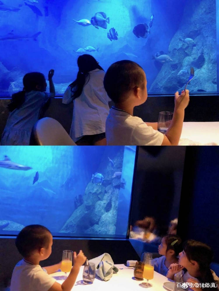 陈露|孙悦娇妻晒与6岁女儿同框!姐妹一般亲昵,结婚8年生1儿1女美貌如初