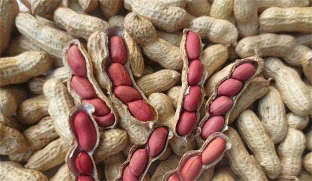59f2f46416134e578f6fdb37a2382399.jpeg