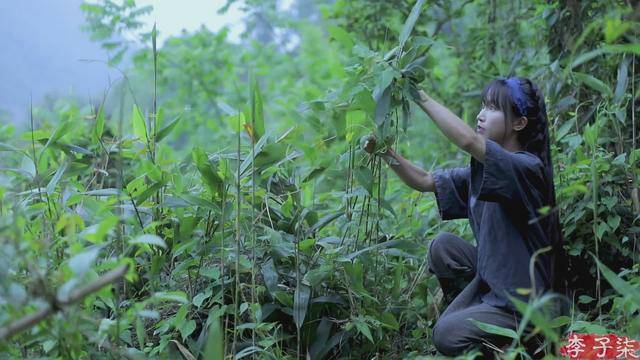 田园|李子柒演绎的田园生活，被如此糟蹋，真的就不戳心么？