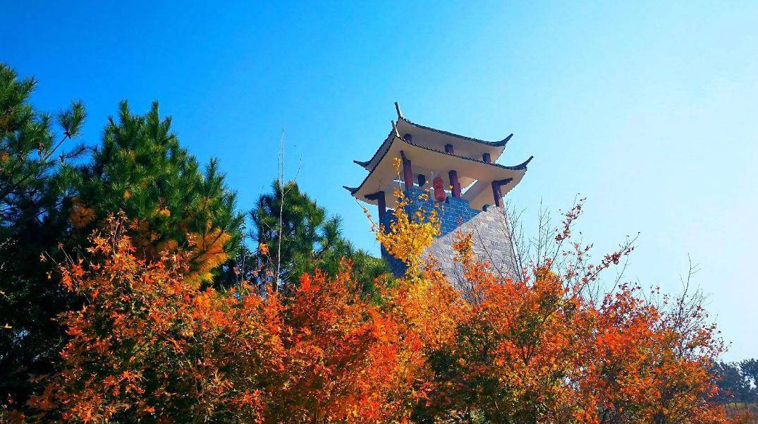 2021年十堰总人口_2002年十堰土门毕业照