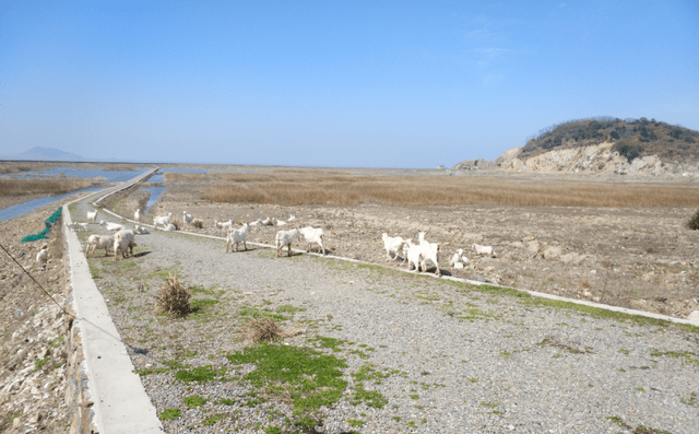 岱山农村人口_农村房子图片(3)